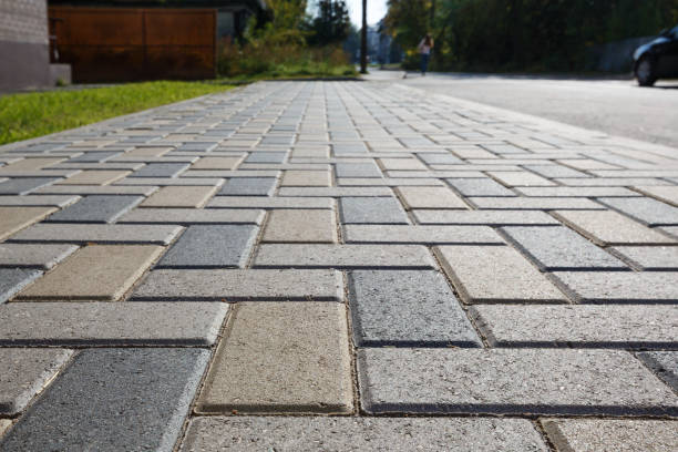 Best Local Driveway Pavers  in Coral Terrace, FL