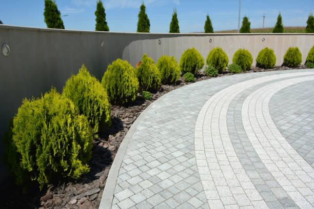 Professional Driveway Pavers in Coral Terrace, FL